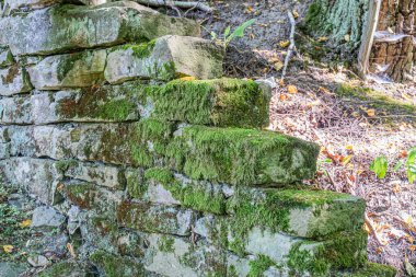 Orta Avrupa 'da sonbaharda çekilen bir köy sahnesinde eski, yosun kaplı bir taş yapı, boşluklardan süzülen ışıkla kısmen çöktü.