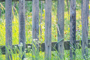 Antik Orta Avrupa köyü, yıpranmış ahşap bahçe çitleri, çitlerdeki boşluklar, yemyeşil arka plandaki çimenler, kır çiçekleri, görünür insan yok, yumuşak dağınık ışıklandırma, bastırılmış yeşillikler, eart