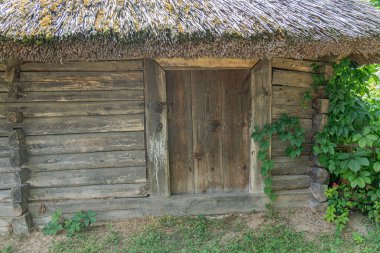 Ormanlı Orta Avrupa köyündeki ahşap kulübe sazdan çatılı, kapalı kapılı ve toprak tonlu renkleri olan bir köy.