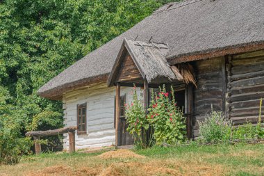 Eski bir Orta Avrupa köyü ahşap yapının çimenli bir yamaçtaki ahşap kulübe dik bir çatı, çiçeklerle süslenmiş ön veranda ve kırsal veya sem yıpranmış ahşap duvarlar gösteren eski ahşap kulübe