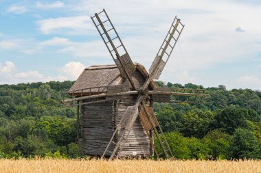 Uzun otlar ve kırsal bitki örtüsüyle çevrili, tepede eski bir ahşap yel değirmeni Ağaçlar ve çalılarla kaplı uzak yuvarlanan tepeler, parçalı bulutlu gökyüzü, görülebilir insan aktivitesi veya insan yapımı yapılar nea