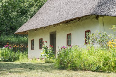 Kırsal bir köy bahçesinde sazdan çatısı, beyaz duvarları ve kırmızı pencere çerçeveleri olan, renkli çiçeklerle dolu eski bir Avrupa evine yakın çekim