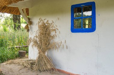 Antik Orta Avrupa 'da tek katlı ev, doğal malzemeler, sazdan çatı, mavi pencere çerçevesi, saman dekorasyonu, sönük dış renkler, bitkiler ve çimenler çevreyi saran, yumuşak ışıklandırma, bulutlu gün