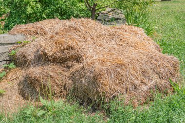 Antik Orta Avrupa köyü, açık hava manzarası, büyük altın saman yığını, desenli yüzey, taş duvar, yumuşak aydınlatma, çimen, insan yok, doğal renkler, gerçekçi stil