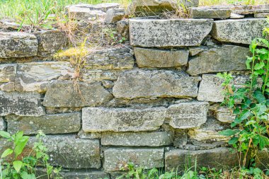 Orta Avrupa 'da bir köy ortamında eski bir taş duvar, çeşitli bitki örtüsüyle çevrili, yosun ve liken ile yıpranmış taş yapı, doğrudan güneş ışığı olmadan doğal aydınlatma