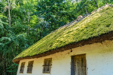 Tek katlı, sazdan çatısı ve üç pencereli cephesi olan, güneşli bir günde, eski bir Orta Avrupa köyünde yemyeşil bir evin ortasında.