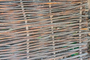 Eski bir Orta Avrupa köyünde, muhtemelen kırsal bir kulübe ya da kulübe gibi eski bir ahşap yapının yakın görüntüsü. Görüntü, doğal ışıklandırma, toprak rengi paleti ve üzerinde durulan