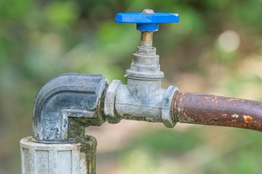 Paslı, metalik yangın musluğu, açık hava ayarı yeşillik, ahşap doku, mavi başlık, yukarı doğru açı görünümü, işaret yok ya da insanlar var.