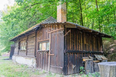 Köhne, terk edilmiş ahşap bir kulübe, orman ortamında, dik bir çatı ve baca ile, sabah erken ya da geç öğleden sonra ışık altında