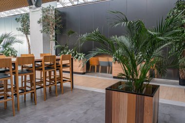 Doğal ışık, beton döşeme, masa ve sandalyeler, kolye ışıkları, yemyeşil bitki, koyu renkli duvarlar, minimalist iç mekan, çağdaş estetik