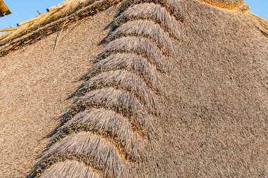 Orta Avrupa 'daki sazdan yapılmış bir evin yukarıdan görünüşü, açık ve koyu kahverengi kamışlardan yapılmış, yumuşak şafak ışıklarının altında, toprak tonlarıyla, modernlik veya inh' ten iz yok.