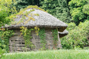 Geleneksel sazdan yapılmış bir kulübe, yemyeşil, Orta Avrupa köyü çevresi dokuma malzemelerden veya bambudan yapılmış doğal ışıklandırma tarzı fotoğrafçılık.