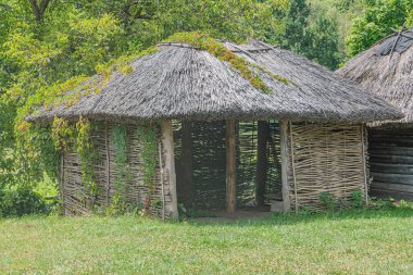 Eski bir Orta Avrupa köyünde konik çatıları olan sazdan kulübeler. Renk paleti, yumuşak ışıklandırma ve sakin bir atmosfer.