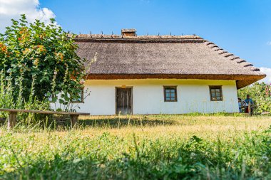 Eski bir Orta Avrupa köyünde geleneksel sazdan çatı kulübesi, açık gökyüzü altında çiçek açan ağaç, açık oturma alanı, birden fazla pencere, açık pencere, merkezi kapı, ahşap süsleme, çimen