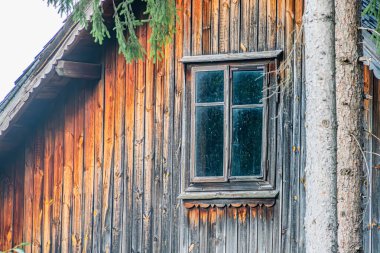 Ormanlık alan, yıpranmış ahşap kulübe soyulmuş boya ve konik tasarım ile geniş bir üst orta pencere ve daha küçük pencere veya çam ağaçlarıyla çevrili yeşil yapraklı havalandırma