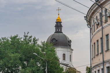 Yeşil bir ağaçla kısmen gizlenmiş altın kubbeli beyaz kubbeli bir Avrupa şehir binası. Gündüz vakti alçak bir açıdan çekilen sahne sessiz ve hareketsiz.