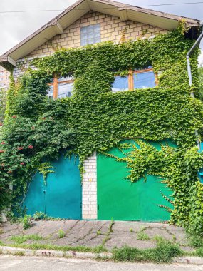 Canlı yeşil bir garaj kapısı ve beyaz çerçeveli pencereleri olan yemyeşil yeşilliklerle çevrili küçük bir kır evi. Ev geleneksel mimariye özgü eğimli bir çatıya ve davetkar bir gardiyana sahiptir.