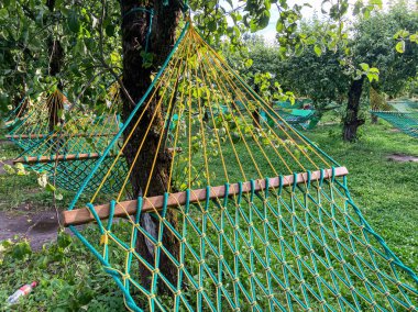 Ağaçlardan sarkık renkli hamak yuvaları olan açık hava sahnesi, muhtemelen dinlenme alanının bir parçası. Yuvalar dipte tünemiş ve sapları var, mavi, yeşil ve sen...