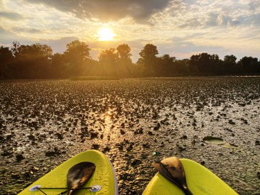 Yarı bitkisel bir lakecalm körfezi üzerinde sakin bir gün batımı, solunda batık bir eğlence küreği ve arka planında ağaçların siluetleri var.