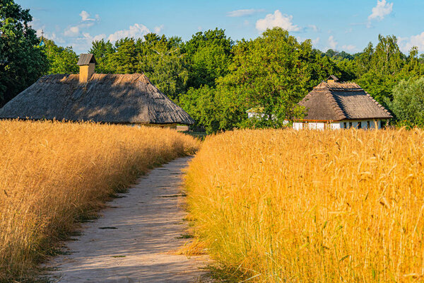 Спокойная центральноевропейская сельская местность с грунтовой дорожкой, золотыми культурами, возможно, пшеницей или ячменем, спокойным водоёмом, двумя соломенными крышами, частично облачным небом