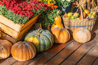 Açık havada cadılar bayramı vitrininde çeşitli kabaklar, kabaklar, hasır sepetler, farklı boyutlarda saksı bitkileri, turuncu, yeşil, doğal ışıklandırma, yumuşak gölgeler, sonbahar ayarı