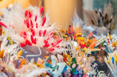 Canlı kırmızı tüyler, turuncu cennet kuşu, zıt renkler, organik akış, katıksız beyaz arka plan, yumuşak doku, uzatılmış şekiller, farklı taç yaprakları, yüzen nesneler, askıya alınmış açı,