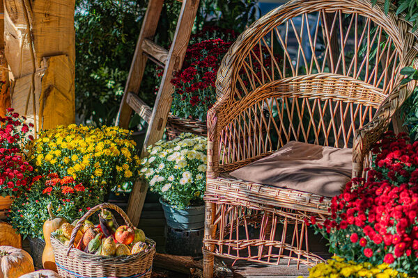 Halloween decoration with a peaceful outdoor market stall, woven chair, mixed potted plants red, yellow blooms, greenery, woven basket apples, oranges, natural lighting, vibrant colors, dynamic v