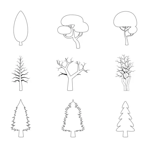 Çizgi sanatı Kış veya Noel ağacı seti. çeşitli noel ağaçları.
