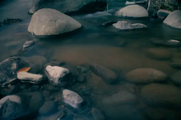 Dağlardaki nehir akıntısı. Ormandaki dağ nehri deresi