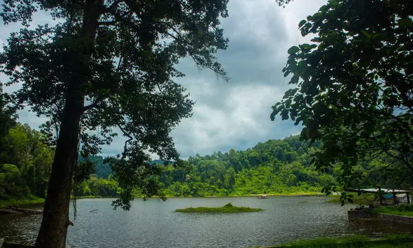 stock image Situ gunung lake in indonesia. Forest lake under cloudy sky