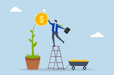 Yatırım karından para toplayan işadamı, büyüyen bir para ağacından dolar topluyor..