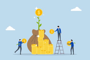 Bireyler, paralarının filiz gibi büyüyebileceği yatırım fonlarına yatırım yaparlar..