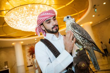 Doha, Katar, Mayıs 01.2022: Şahin Eldiveni 'nde deri kapüşonlu Arap Şahini.