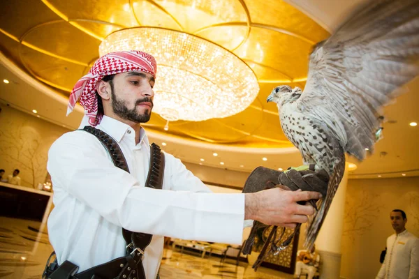 Doha Qatar Mai 2022 Faucon Arabe Avec Capuche Cuir Sur — Photo