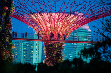 Singapur Şehri, Singapur - 11 Eylül 2019: Körfez kenarındaki bahçelerin gece manzarası Singapur 'da bir doğa parkı.