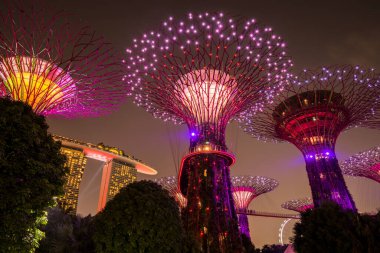 Singapur Şehri, Singapur - 11 Eylül 2019: Körfez kenarındaki bahçelerin gece manzarası Singapur 'da bir doğa parkı.