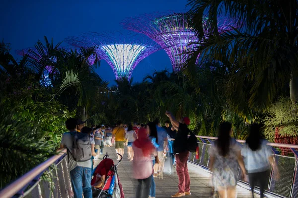 Singapore City Singapore September 2019 Nachtzicht Gardens Bay Een Natuurpark — Stockfoto