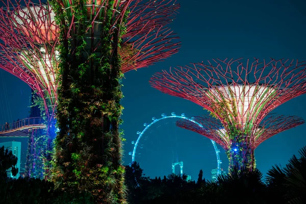 Singapore City Singapore September 2019 Night View Gardens Bay Nature — стокове фото
