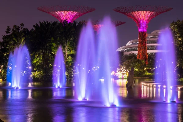 Singapore City Singapore September 2019 Night View Gardens Bay Nature — Stock Photo, Image