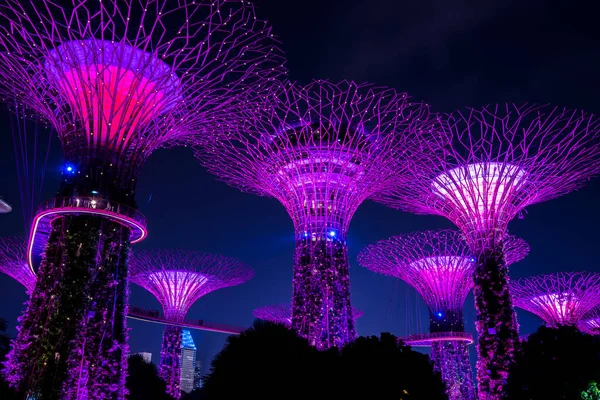 Singapur Şehri Singapur Eylül 2019 Körfez Kenarındaki Bahçelerin Gece Manzarası — Stok fotoğraf