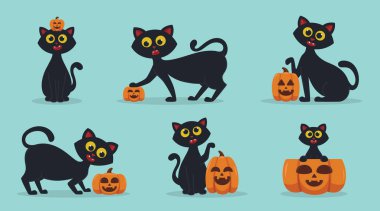 Cadılar Bayramı balkabaklı şirin siyah kedi koleksiyonu. Kedi demetleri tasarım elementi ve çıkartma tasarımı için mükemmel bir balkabağı ile oynuyor.