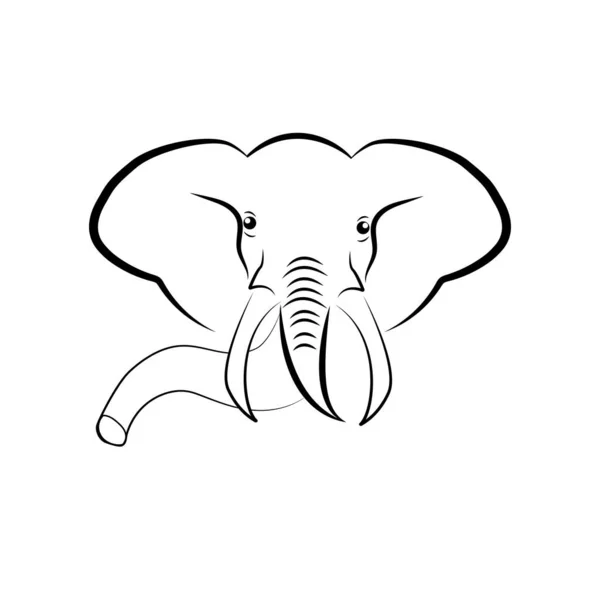 Vector Image Elephant Head Illustration Elephant Mascot Vector Art Frontal — Stock Vector