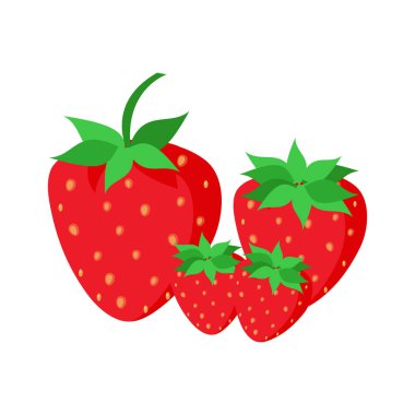 Strawberry fruit vector. Cartoon bright natural strawberrys isolated on white. Vector illustration of fresh farm organic berry used for magazine, book, poster, menu cover, web pages.