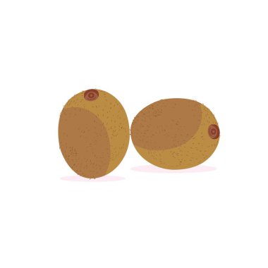 Kiwi Meyve Simgesi Set Vektör Tasarımı. Olgun kivi meyvesi ve beyaz arka planda yarım kivi meyvesi. Gıda uygulamaları ve web siteleri için Çin bektaşi üzümü yarı kesitli düz renk vektörü simgesi