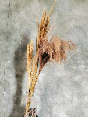 Vazodaki kurumuş çiçekler, şık bir cam vazoda kurumuş çiçek düzenlemeleri, cam bir şişedeki kurutulmuş çiçek buketi gibi hayat.