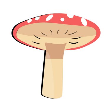 Mantar yassı tasarım karikatür farklı mantarlar vektör illüstrasyonu, vahşi mantar sembolleri, zehirli Amanita. Eps 10