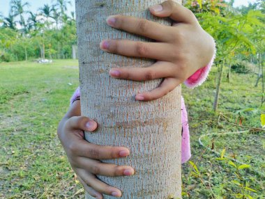 Yeşil ormandaki ağaç gövdesine dokunan insan eli görüntüsü.