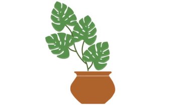 Tencerede büyüyen bir bitkinin temiz ve basit bir animasyonu. Sürdürülebilirlik, bahçe işleri, yavaş büyüme ve asgari yaşam tarzı kavramları gibi konular için mükemmel..