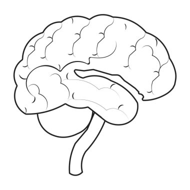 Düzenlenebilir felçli insan beyni simgesi, basit beyin diyagramı çizimi