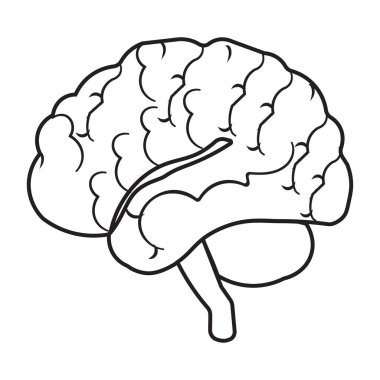 Düzenlenebilir felçli insan beyni simgesi, basit beyin diyagramı çizimi